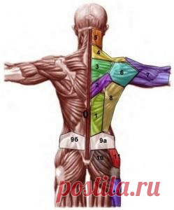 Проекция психосоматических проблем на теле