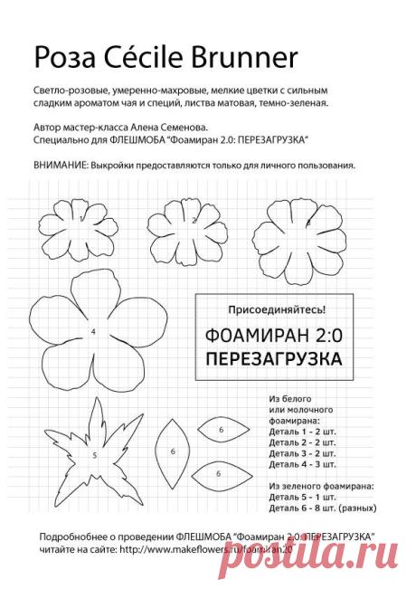 ФОАМИРАН 2.0: Перезагрузка
