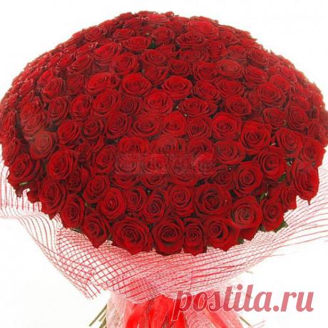 Розы - лучший подарок для любимой женщины