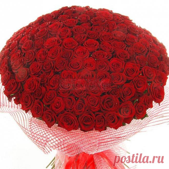 Розы - лучший подарок для любимой женщины