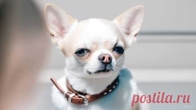 А есть ли любовь? - OGADANIE.RU