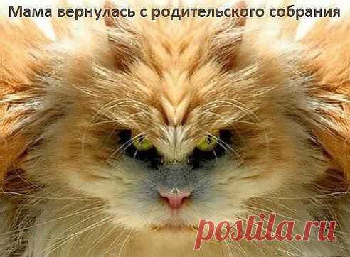 (53) Одноклассники