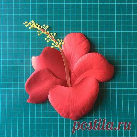Flat & volume #paperwork #paperlove #papersculpture #papercraft #paperartist #paperlove #paperdesign #paperflowers #paperwork #paperlover #papercrafts #paperart