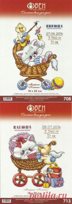 Метрики с котенком.