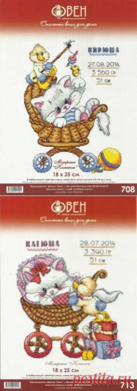 Метрики с котенком.