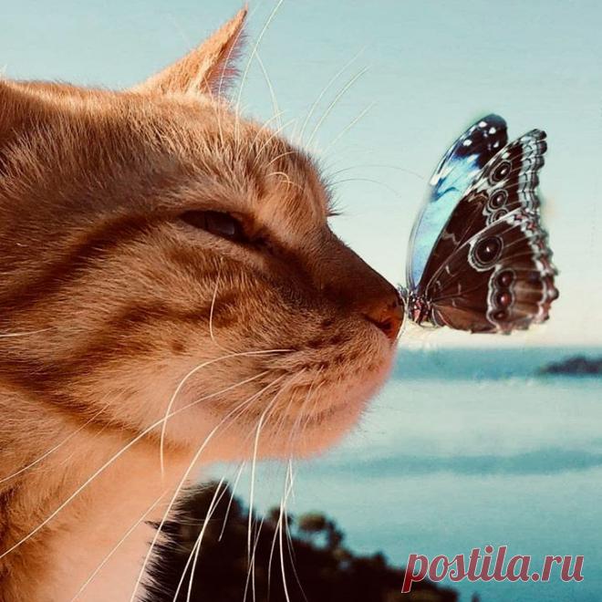 Вы его не чувствуете, но ЛЕТО на носу! 📷 📷