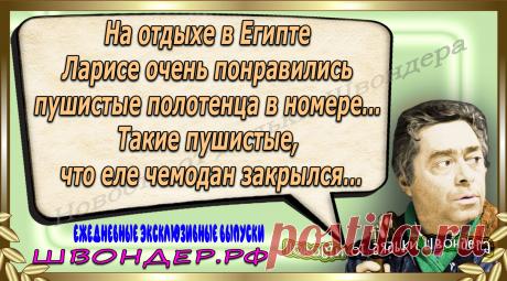 Новости от дядьки Швондера, классный анекдот, смешная фраза, веселая фенечка, каламбур, афоризмы, смех, забавные картинки, сложный юмор, непонятные анекдоты, цитаты из интернета, мэмчик, развлечение, Швондер говорит, Шариков, Собачье сердце, улыбка до ушей, веселый сайт, забава, смешарик, мем, потеха, картинка со смыслом, фарс, наколка, мемасик, шутка, юмор, анекдоты в картинках, юмор в картинках, свежие приколы, Швондер, смешная фишка, улыбка, интересное в сети, смех, швондер.рф, #швондер.рф