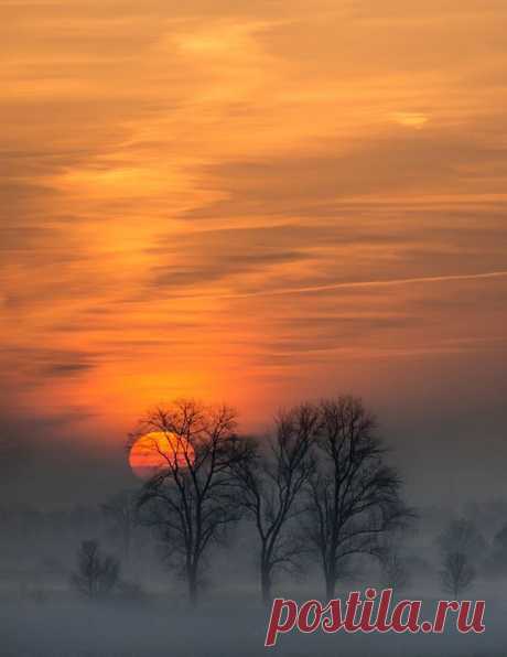Ice sunset  |  Pinterest • Всемирный каталог идей