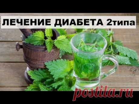 ЛЕЧЕНИЕ САХАРНОГО ДИАБЕТА 2 ТИПА КРАПИВОЙ.
