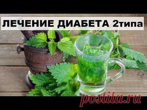 ЛЕЧЕНИЕ САХАРНОГО ДИАБЕТА 2 ТИПА КРАПИВОЙ.