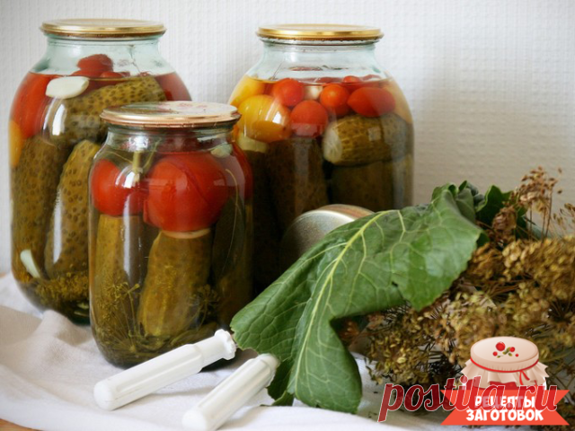 Маринованные огурцы с помидорами

Ингредиенты на 3 литра:
Огурцы – сколько уйдет
Помидоры – сколько уйдет
Лимонная кислота — 0,5 ч.л.
Соль – 70 гр
Сахар – 1,5 ст.л.
Лук репчатый — 2-3 шт
Чеснок – 3-4 зубчика
Перец сладкий – 2-3 шт
Листья вишни, смородины, дуба – 3-4 шт
Амарант (щирица) – 1 веточка
Лавровый лист — по вкусу
Перец горошком — по вкусу

Рецепт приготовления маринованных огурцов с помидорами:
Сперва на дно сухой пропаренной банки следует положить укроп, хрен, по...