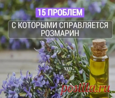 14 проблем, с которыми справляется розмарин

В чем поможет эфирное масло розмарина?

1. Прекрасно стимулирует клетки мозга, которые ответственны за память. Аромат розмарина был всегда любим учеными, клерками и студентами, потому что помогал запоминать не только числа и имена, но и иностранные слова.
Показать полностью...