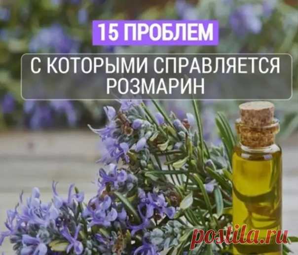 14 проблем, с которыми справляется розмарин

В чем поможет эфирное масло розмарина?

1. Прекрасно стимулирует клетки мозга, которые ответственны за память. Аромат розмарина был всегда любим учеными, клерками и студентами, потому что помогал запоминать не только числа и имена, но и иностранные слова.
Показать полностью...