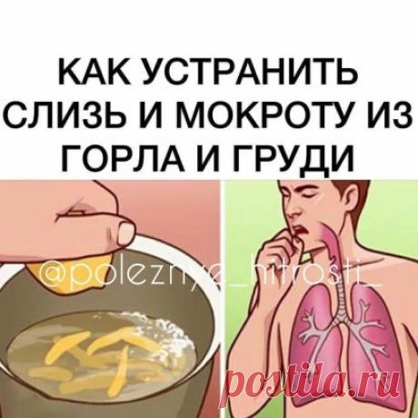 МЕД И ЛИМОН
Эта мощная комбинация весьма эффективна при лечении проблем с дыханием, из-заих противогрибковых и антибактериальных свойств.
Состав продукта:
1 столовая ложка органического меда;
2 столовые ложки лимонного сока.
Приготовление:
Смешайте два ингредиента в миске и употребляйте смесь три раза в день.
ИМБИРЬ
Имбирь, несомненно, является самым мощным отхаркивающим,антибактериальным и противовирусным средством.
Состав продукта:
2 стакана воды;
1 чайная ложка перца;
6 или 7 ломтиков