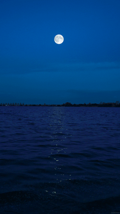 World¶dise — rime-s: rime_s.tumblr.com