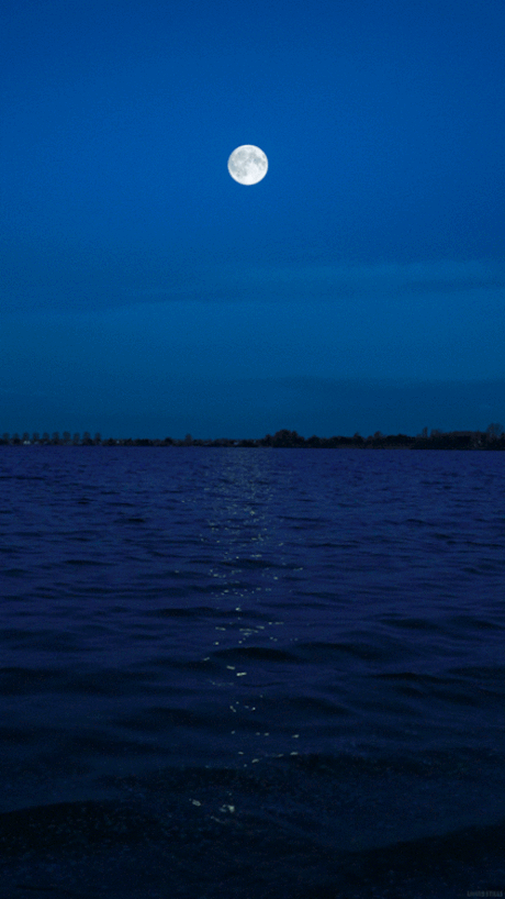 World¶dise — rime-s: rime_s.tumblr.com