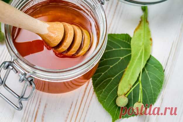 Натуральный мед: эликсир здоровья - KitchenMag.ru