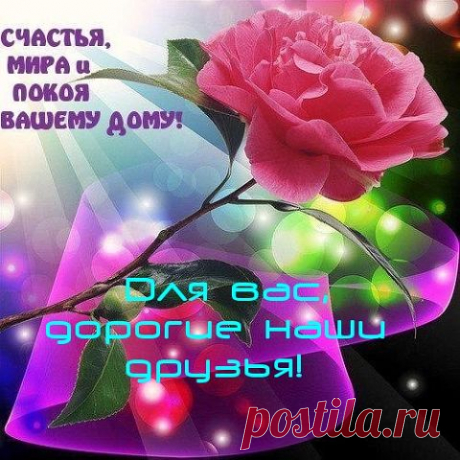 image (480×480)