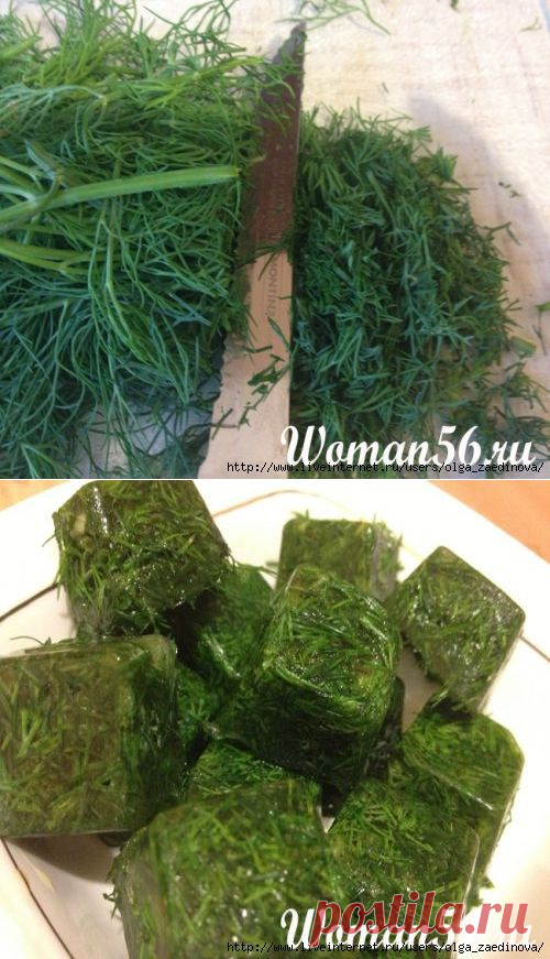 Заготовка укропа на зиму разными способами.