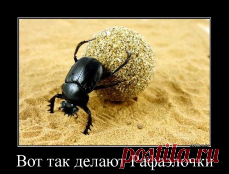 Новая порция демотиваторов (25 шт) | Чёрт побери Ежедневный сборник отличных демотиваторов для постоянных читателей Бугаги! Всем улыбок, удачи и отличного настроения!