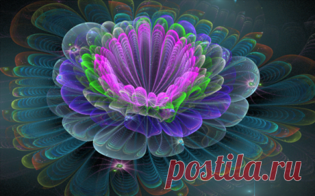 3d flowers by artist Luis | Beautiful pictures