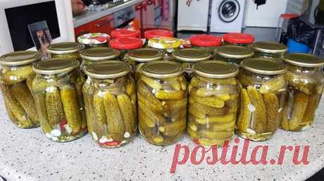 Отличный рецепт консервированных огурчиков, который мы настоятельно рекомендуем попробовать. Огурцы получаются супер-хрустящими и очень вкусными! Свежие огурцы; Острый перчик; Зелень (для консервации); Чеснок; 100 г соли на 1 литр воды. Зелень и огурчики нужно хорошо помыть. Банки хорошо помыть,