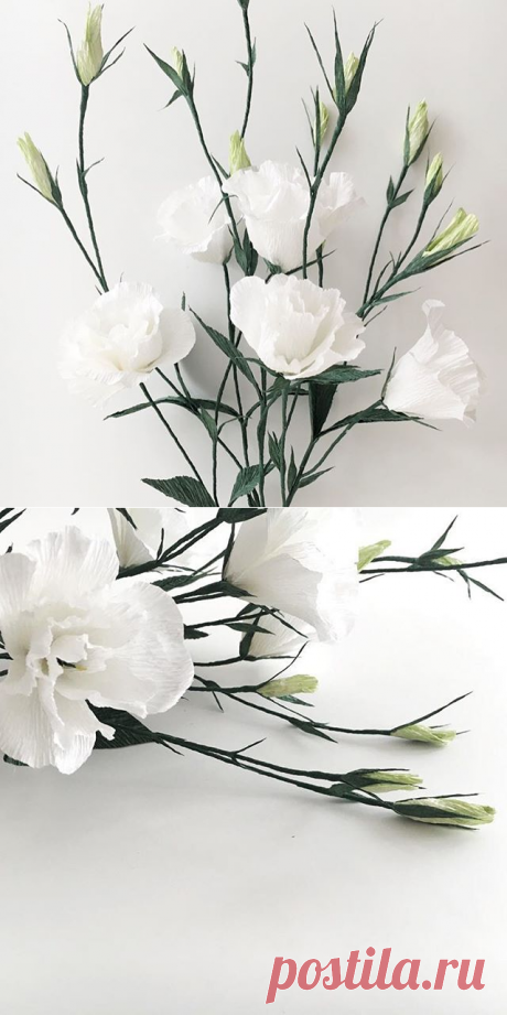 Yuk Wah Leung (@amidstthedust) • Фото и видео в Instagram