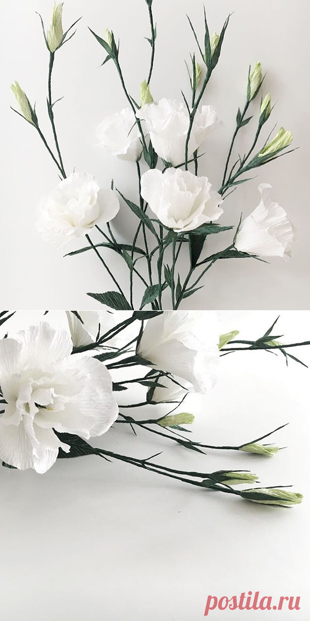 Yuk Wah Leung (@amidstthedust) • Фото и видео в Instagram
