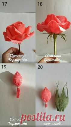 Hình ảnh của Свит дизайн🍭Интерьерные цветы.Мастер-классы.