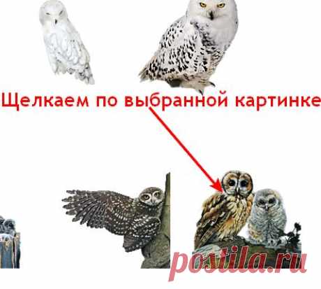 Как просматривать и брать картинки с Яндекс фото в связи с новыми изменениями