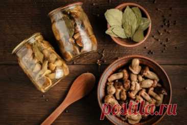 Маринованные лесные грибы на зиму — Домашние заботы