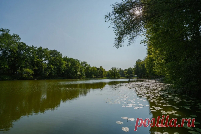 Рыбалка как искусство. Рыбные места в Самарской области | Загородный комплекс Алые Паруса | ПромоСтраницы