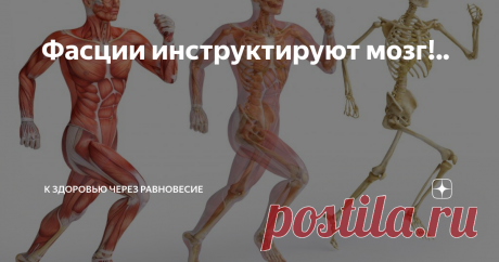 Фасции инструктируют мозг!..  У меня есть опубликованная в дзене статья «Точка нулевого доступа». Длинная статья, согласен с вашим мнением, нужно писать короткие статьи. В этой статье я упоминаю принципиальную схему научного познания Альберта Эйнштейна. В статье «Две парадигмы терапевтического поведения специалистов «Касания ангела»   я пишу о воображении и отношении к этому того же Альберта Эйнштейна: «Воображение важнее, чем знания. Знания ограничены, тогда как воображен...