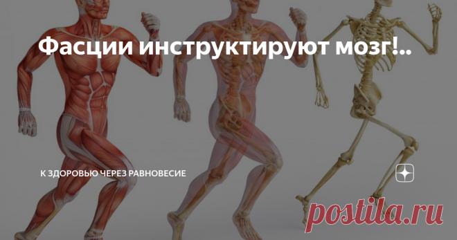 Фасции инструктируют мозг!..  У меня есть опубликованная в дзене статья «Точка нулевого доступа». Длинная статья, согласен с вашим мнением, нужно писать короткие статьи. В этой статье я упоминаю принципиальную схему научного познания Альберта Эйнштейна. В статье «Две парадигмы терапевтического поведения специалистов «Касания ангела»   я пишу о воображении и отношении к этому того же Альберта Эйнштейна: «Воображение важнее, чем знания. Знания ограничены, тогда как воображен...