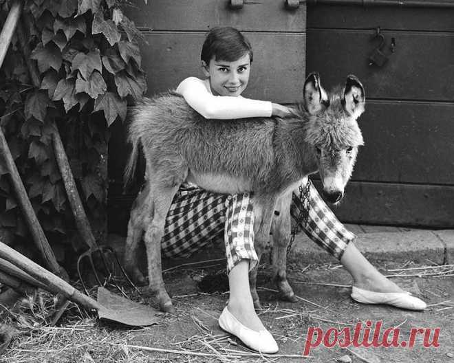 20 редчайших фотографий Одри Хепберн, которые откроют тебе ее с совершенно другой стороны.