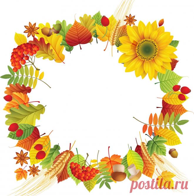 (49) Одноклассники