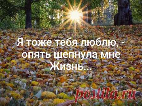 Шепнула мне Жизнь...