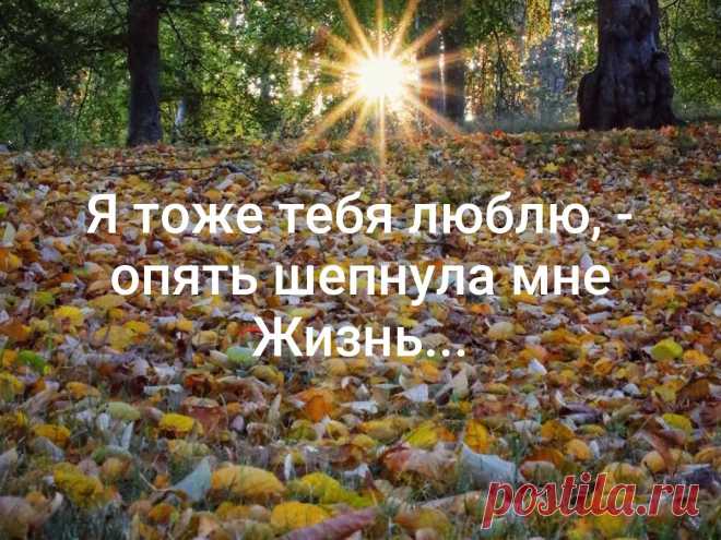 Шепнула мне Жизнь...