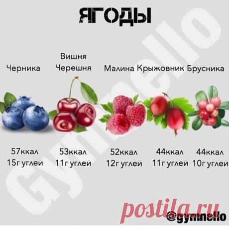 Пoлезные пaмятки для тeх, ктo считaет калоpии