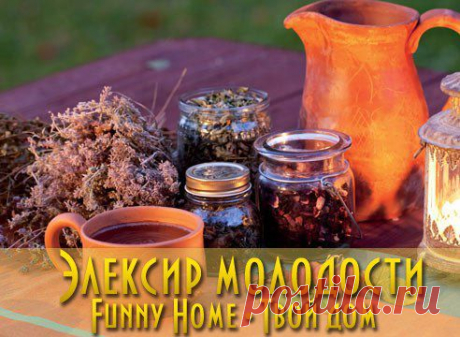 цитата Olora : РЕЦЕПТ ЭЛИКСИРА МОЛОДОСТИ ДРЕВНИХ ЗНАХАРЕЙ (05:44 17-11-2014) [3920504/343633605] - oskina-1957@mail.ru - Почта Mail.Ru