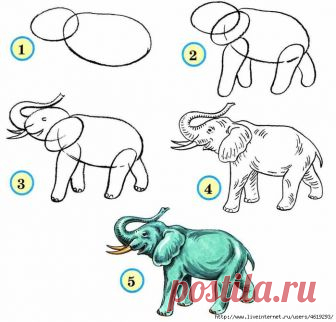 УЧИМСЯ РИСОВАТЬ ЖИВОТНЫХ.