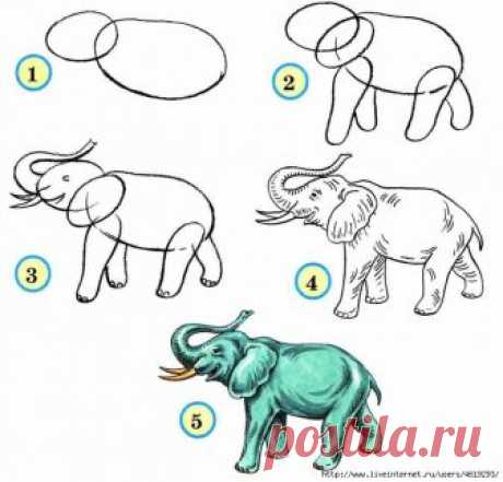 УЧИМСЯ РИСОВАТЬ ЖИВОТНЫХ.