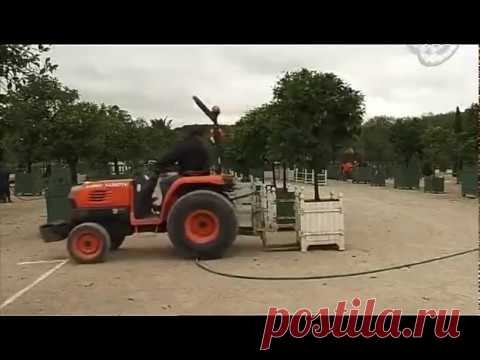 Версальский Парк (Сады, Большой и Малый дворец Трианон)