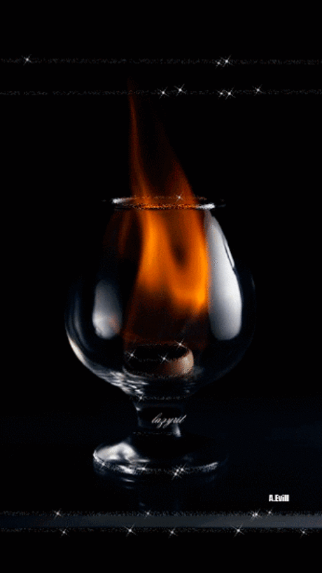 Живые фотографии – Сообщество – Google+