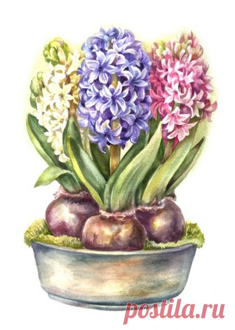 Весенние иллюстрации