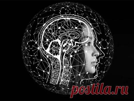 Ногам покоя не дает: назван простой способ улучшить работу мозга Оказалось, что физические упражнения и физкультура стимулируют мозг и улучшают когнитивные функции. Правда, эти активности работают только в сочетании с книгами и учёбой.