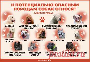 Потенциально опасные породы собак