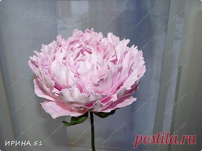 Пион из фоамирана — Фоамиран: фото мастер-класс