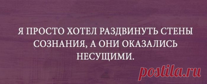 Прикольные картинки. Вечерний выпуск (55 фото) » Триникси