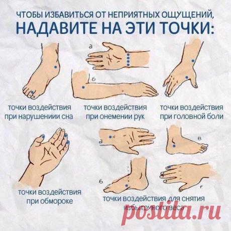 Философия красоты и здоровья